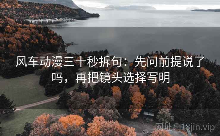 风车动漫三十秒拆句：先问前提说了吗，再把镜头选择写明